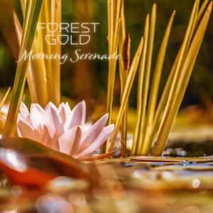 和丝袜老师啪啪啪
