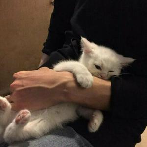 和丝袜老师啪啪啪
